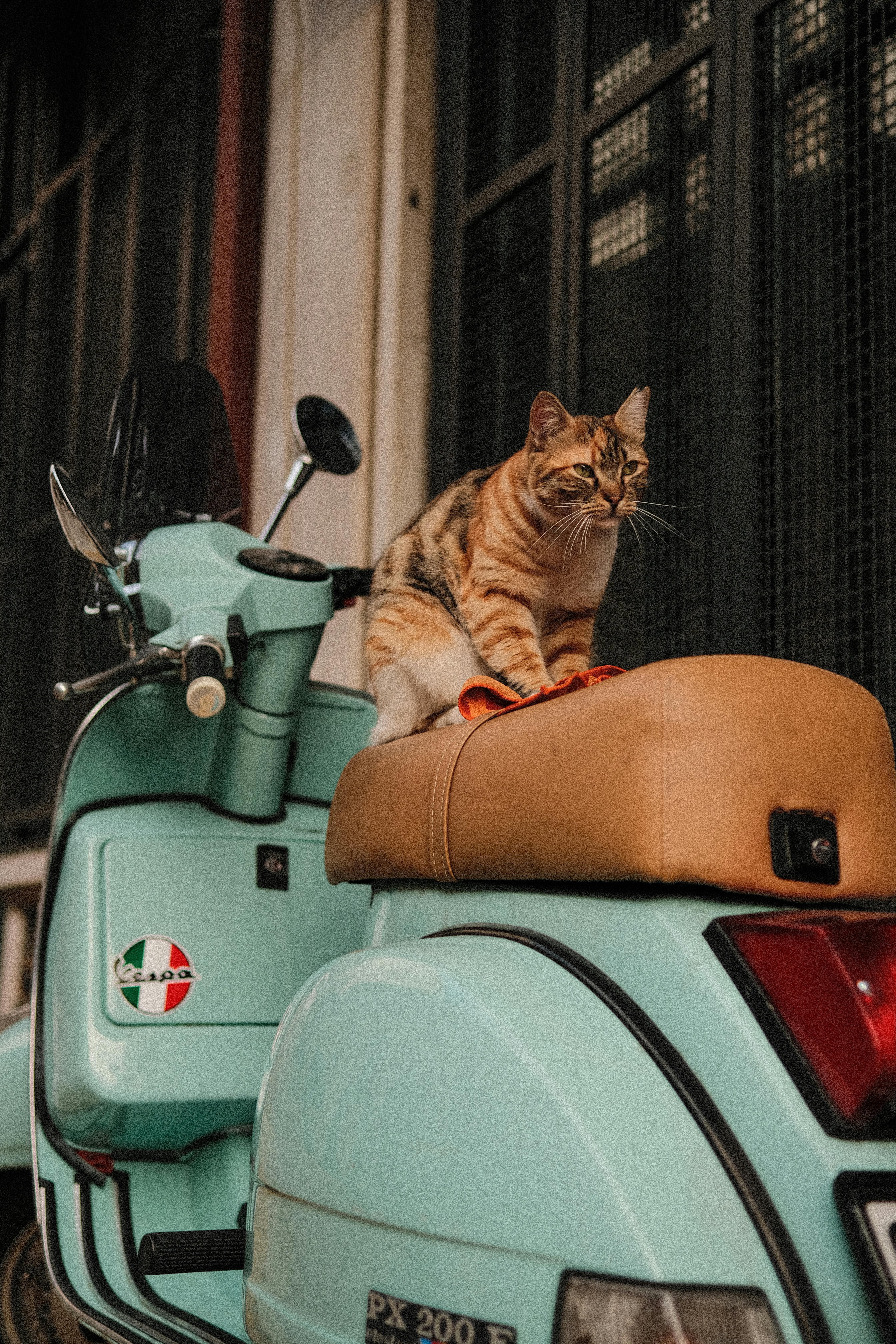 Smart Scooter Technology